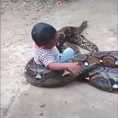Happy snek with her next meal