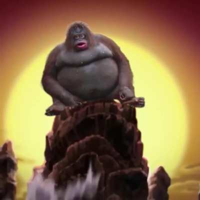 💧⛰🔥💨🐒