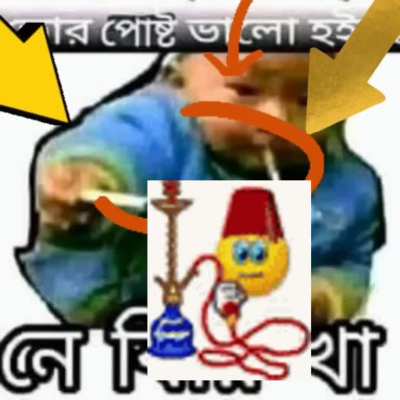 دولفين أسود