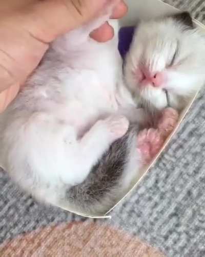 cute nugget