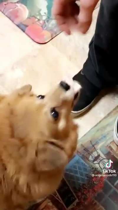 Om nom nom