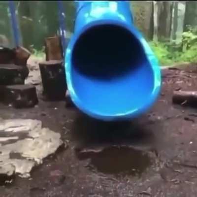a creative title
