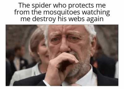 me_irl