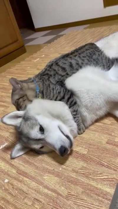 Love, big and very satisfied