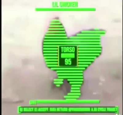 I love fallout