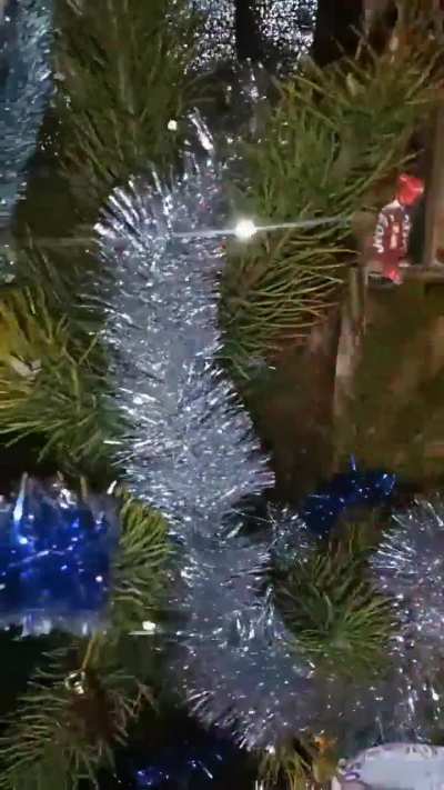 Merry Christmas!