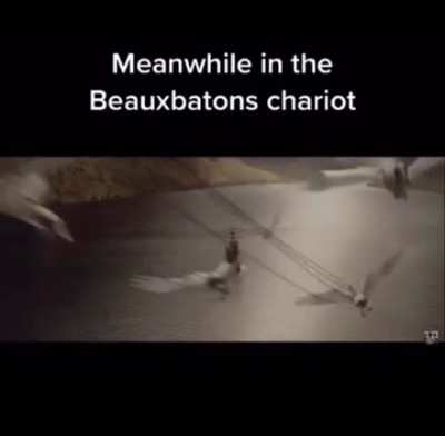 Seems like a fun ride