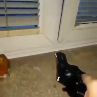 Darwin award