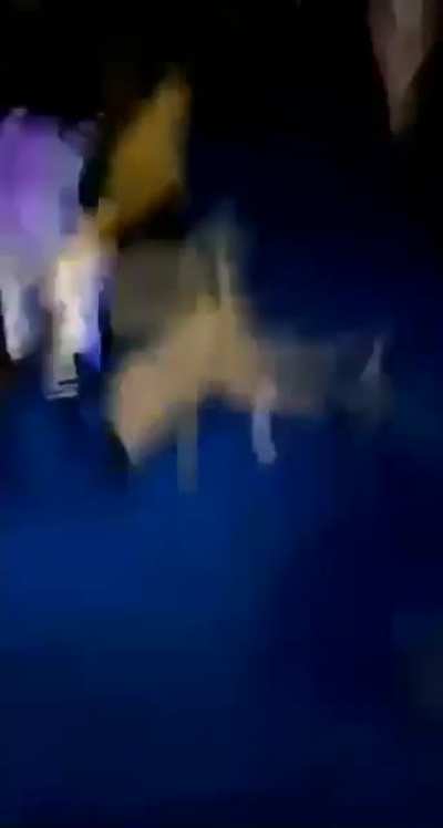 Beat down at Homecoming