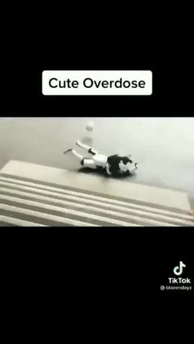 ......（//･_･//)