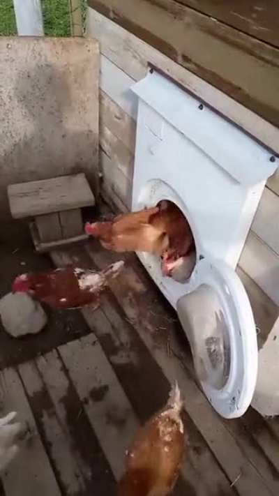 Taking out the laundry.