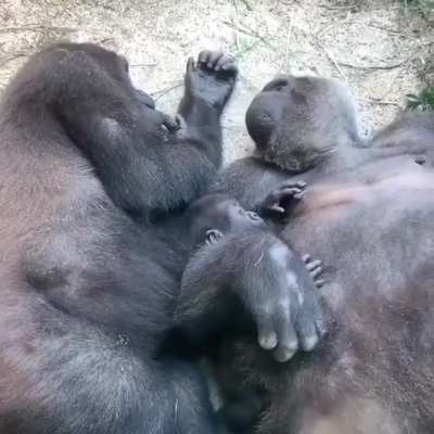 Waking up with kids
