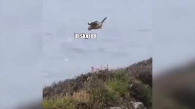 IRL Swellow Gliding in Games!