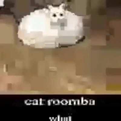 what