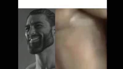 gigachad vs ricardo