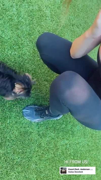 Hailee Steinfeld