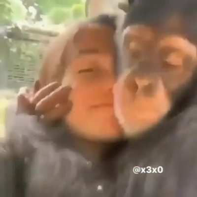 Monke happy. 😃