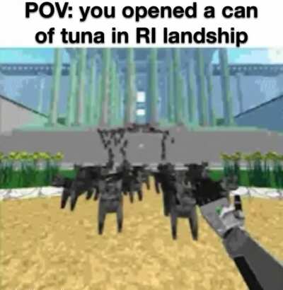 The last thing Dok saw before dying of diabetes