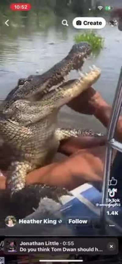 Lovely pet