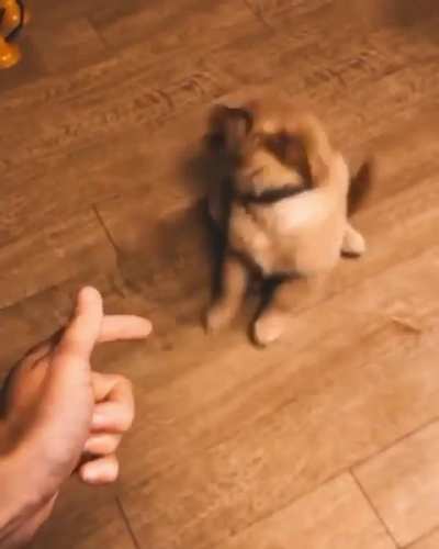 Best actor award goes to