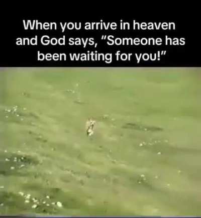 Thomists be seething rn