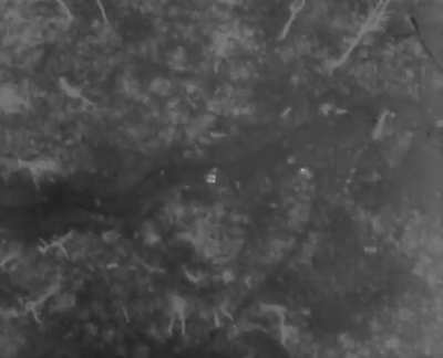 Drones of UA 81st Brigade (SowaFm) posted video of night-time drone attacks on RU trench positions in unnamed direction. Original audio. Jan. 28