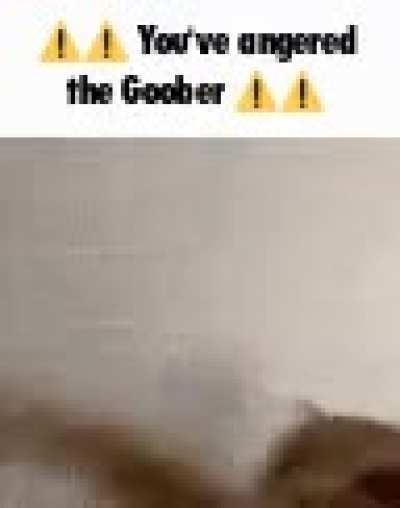 goober slap