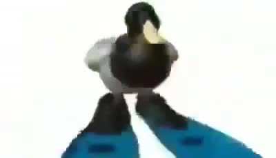 quack