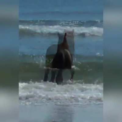 😭