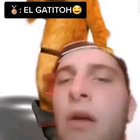 Top 5 momentos rugbier