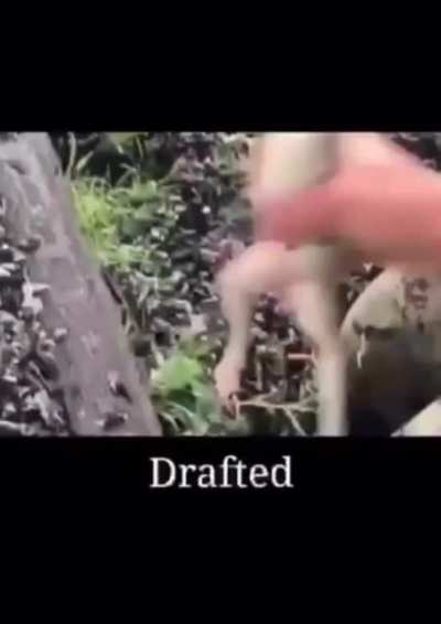 Drafted