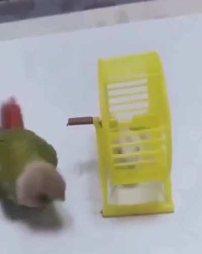Maybe Maybe Maybe