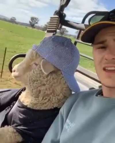 Maybe Maybe Maybe