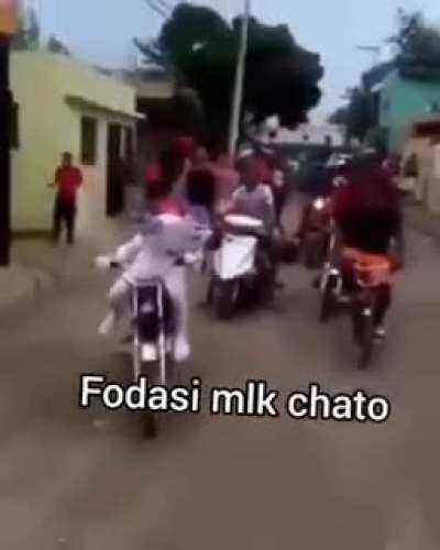 mlk chato