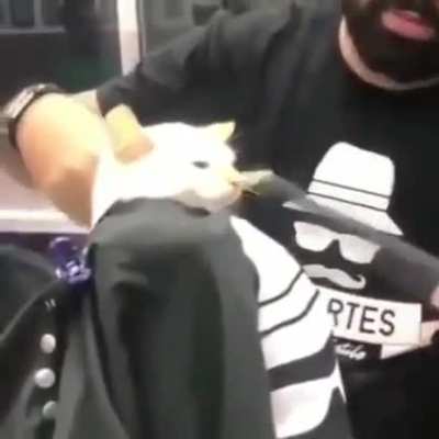 Corta só as pontas tio