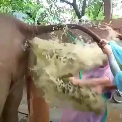 Nope, nope, nope