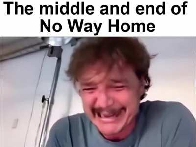 The beginning and end of No Way Home in a nutshell
