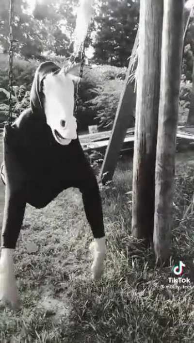 Horse