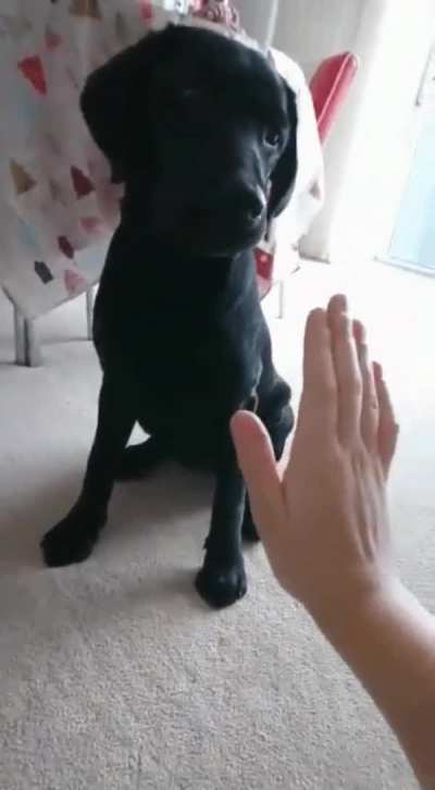 High five!