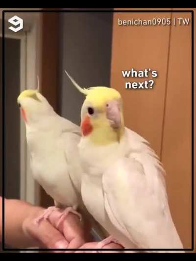 AAAAAARGH