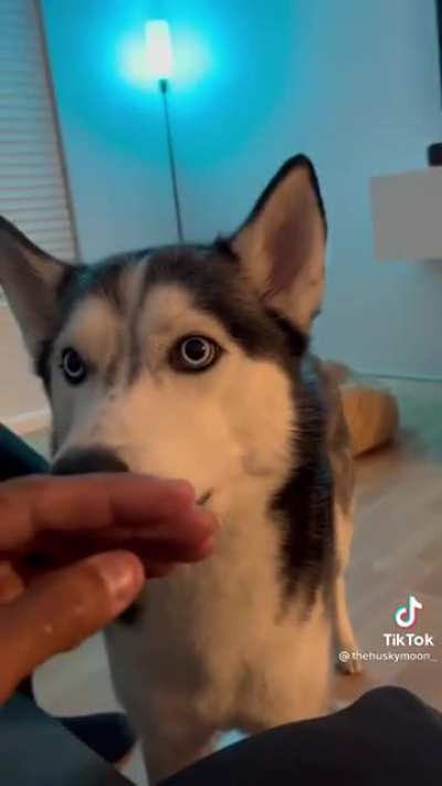 so sweet and so sad
