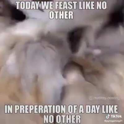 IT MONKEY FRIDAY!!!