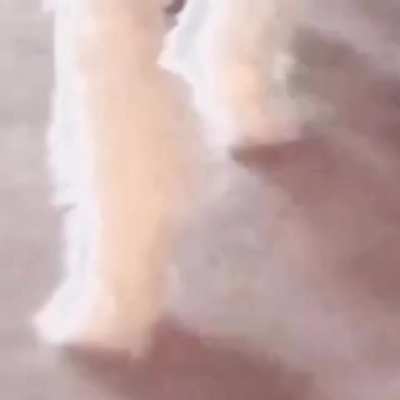 The king has returned