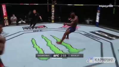 Buckley's KO matched a Tekken move frame for frame
