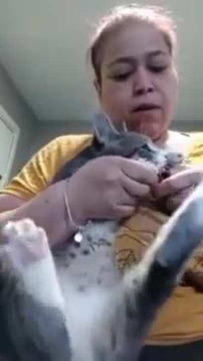 Cat meets his match