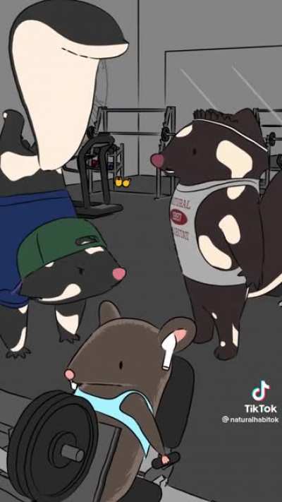 Skunks at the gym