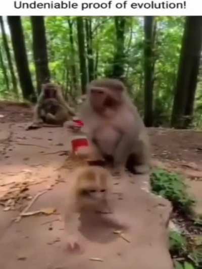 just like us