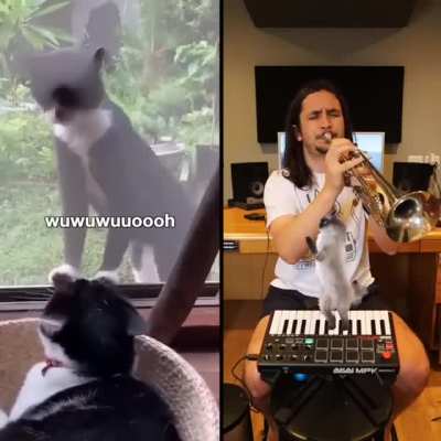 Who would you pick to song the chorus.