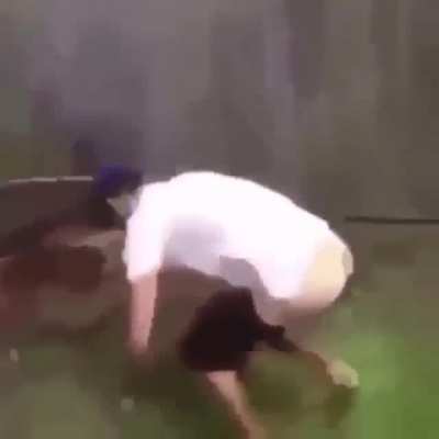 Shit
