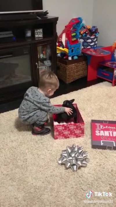 Kid gets a pup :)